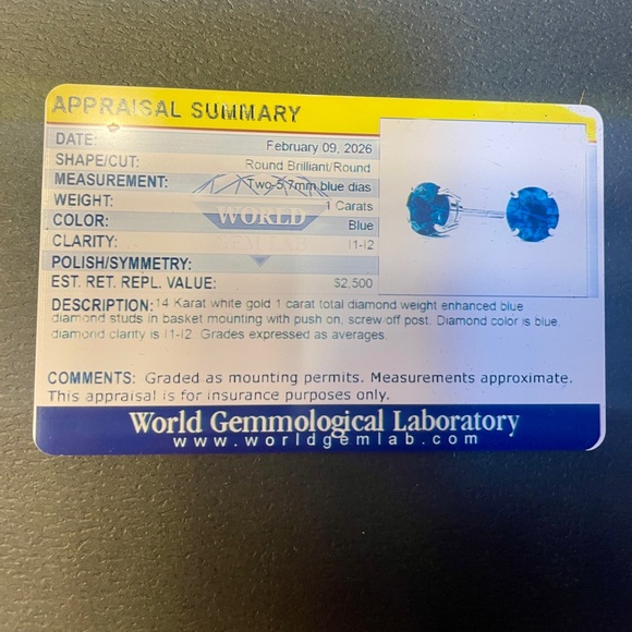 🤩 NWT 1 Carat Natural Blue Diamond Stud Earrings, Solid 14 Karat White Gold - Picture 10 of 11